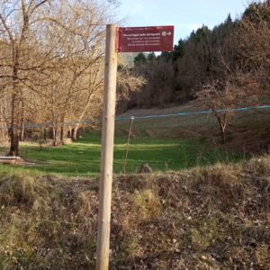 BANDEROLA 2 - còpia