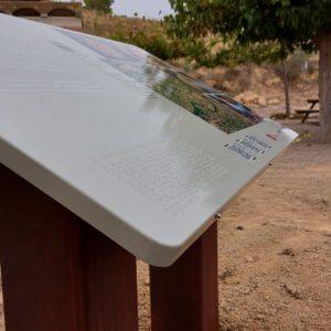 PHOTO-2022-11-03-09-33-48