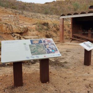 PHOTO-2022-11-03-09-33-49