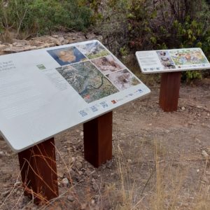 PHOTO-2022-11-03-11-50-22