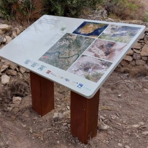 PHOTO-2022-11-03-11-50-23 (3)