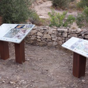 PHOTO-2022-11-03-11-50-24 (1)