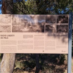 WhatsApp Image 2023-02-10 at 12.43.25