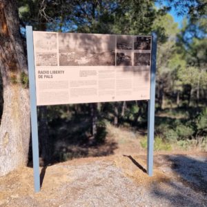 WhatsApp Image 2023-02-10 at 12.46.05