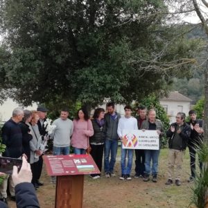 27c91f20-192f-447d-8ffa-6ae52e5f070f