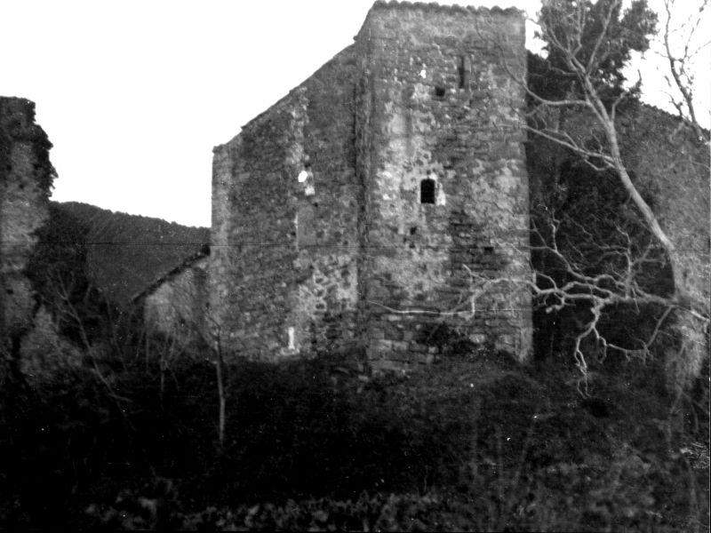 Estudi històric del Castell de Falgons de Sant Miquel de Campmajor (Pla de l'Estany).