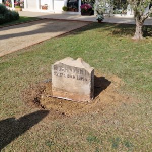 WhatsApp Image 2023-10-31 at 12.41.24