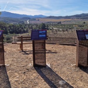 a715b0c0-a726-421f-b988-054656e5ff07