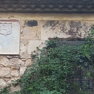 5fae1778-8d74-4ece-991d-8d454e1e79fb