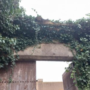 7d44c094-f7c5-41f3-9728-ecdd206d92be