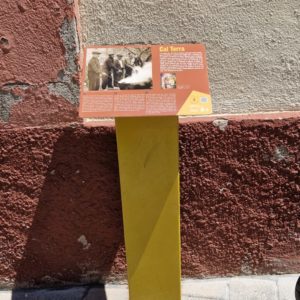 WhatsApp Image 2024-05-30 at 13.37.37 (4)