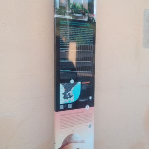 WhatsApp Image 2024-07-15 at 18.55.12